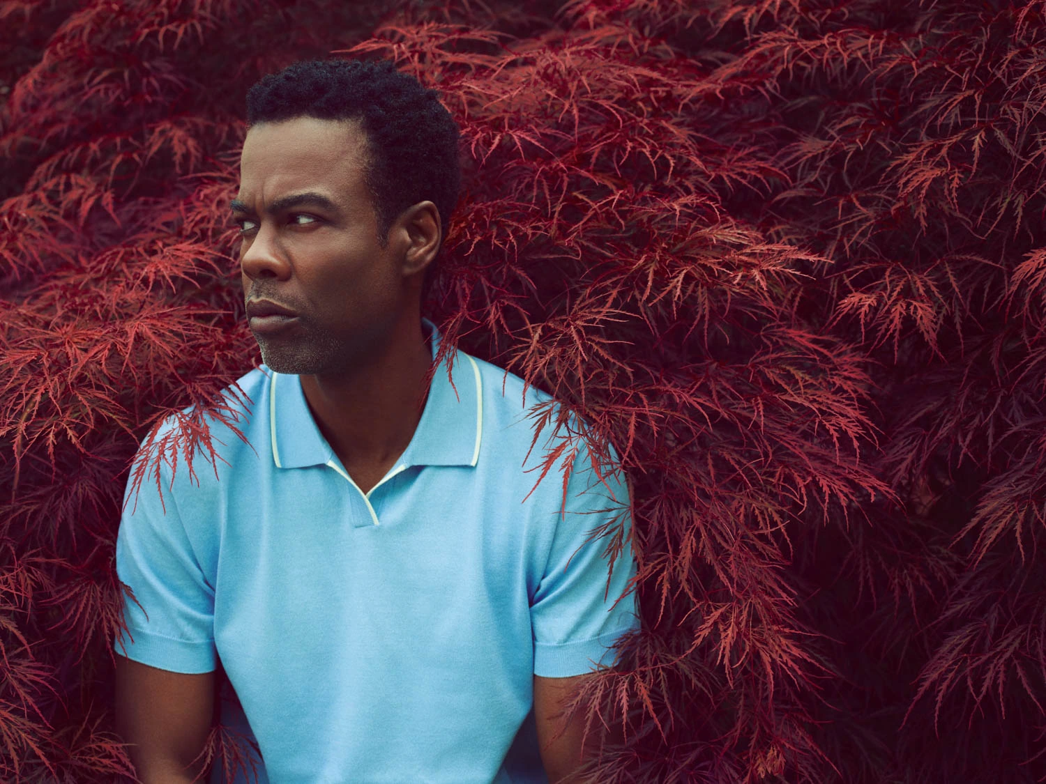 Chris Rock photographed by Austin Hargrave