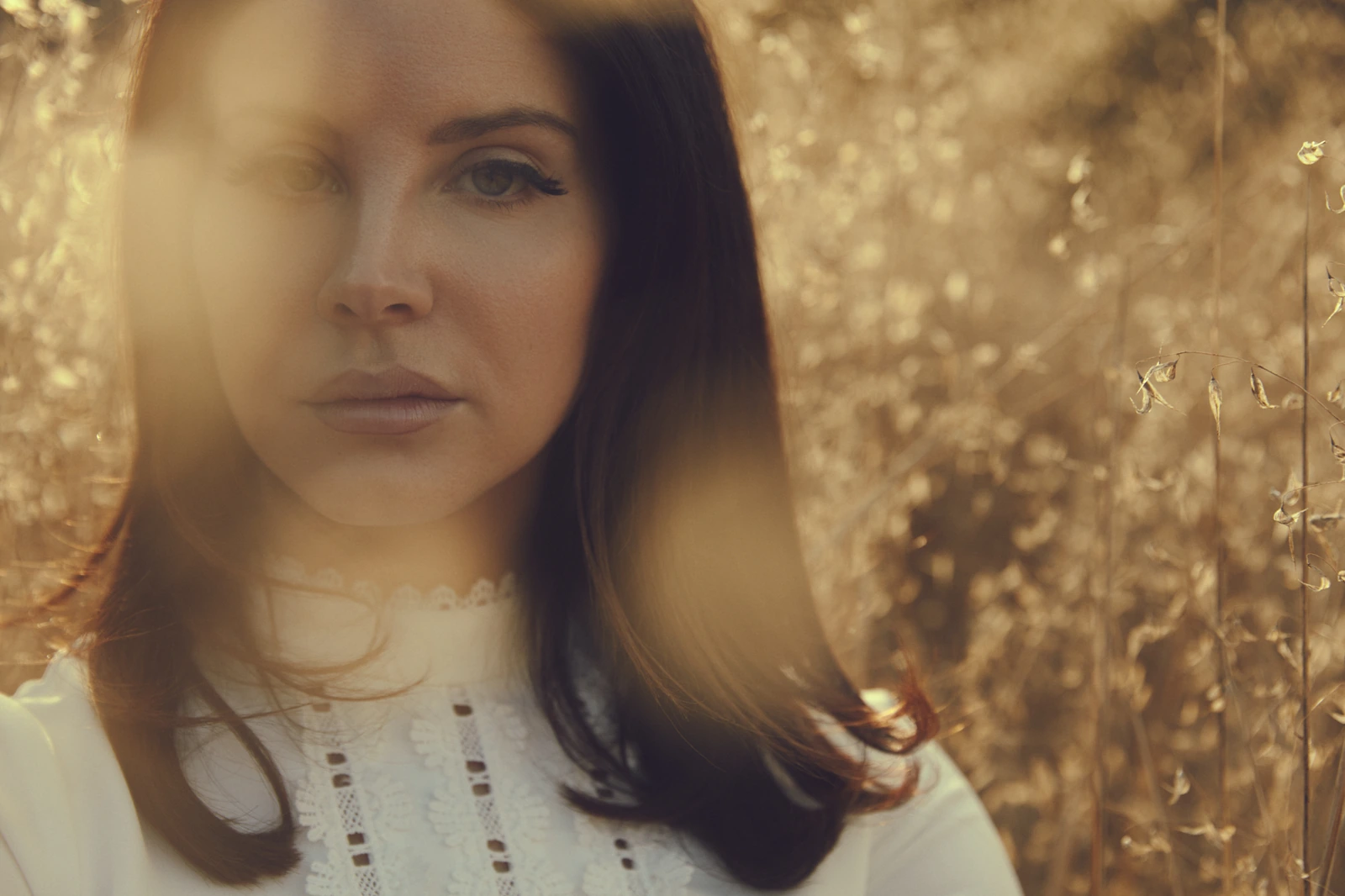 Singer-songwriter Lana Del Rey in a white lace top amid golden dry grass, warm lens flare drifting across her distant gaze.