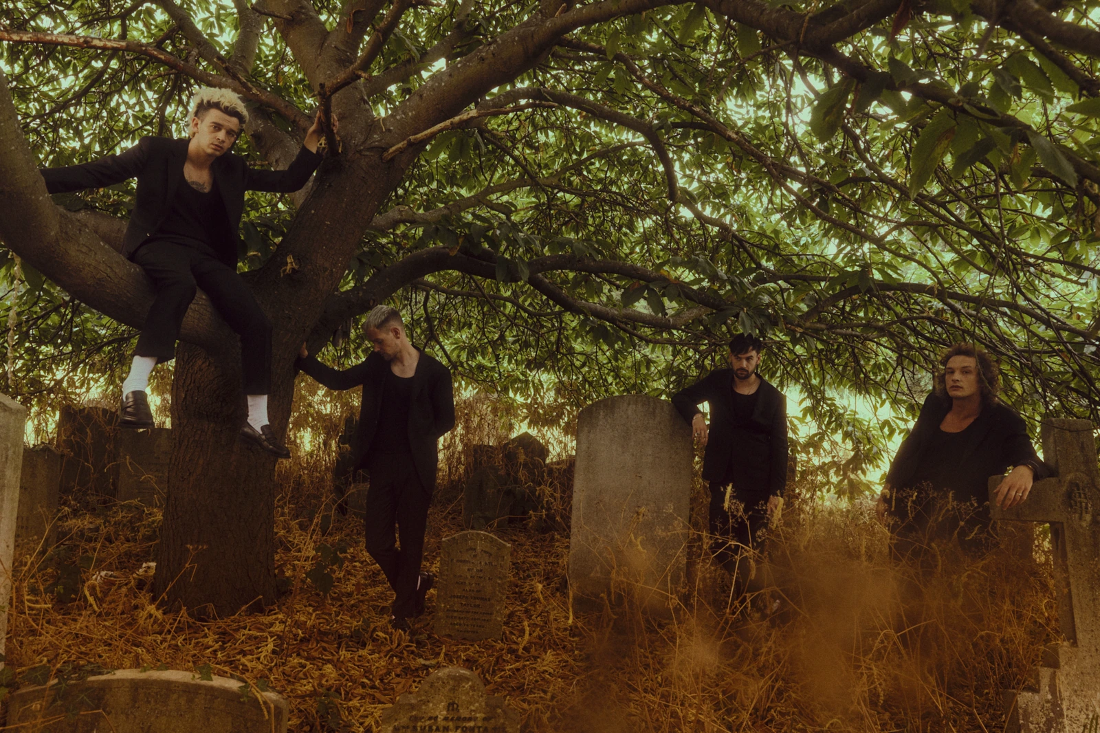 Pop rock band The 1975 — Matty Healy perched in a gnarled tree above three bandmates among weathered gravestones, all.